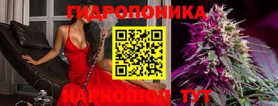 шишки Балаково