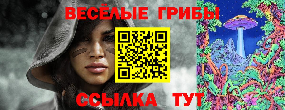 Псилоцибиновые грибы Magic Shrooms Ачинск