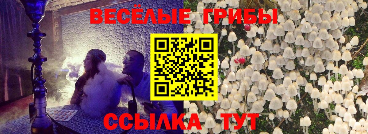 Ачинск  Галлюциногенные грибы мухоморы  Вход с VPN 